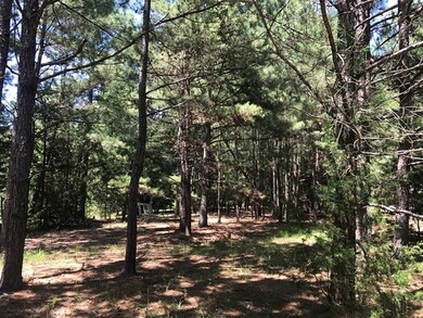 Lot 1 Guillebeau Rd, Lincolnton, GA 30817 - photo 3