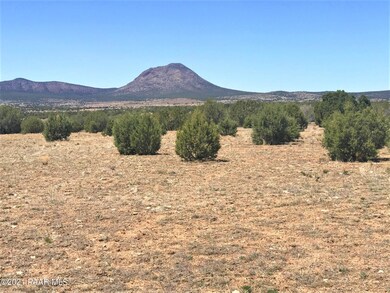Lot 5 Un Named Rd, Ash Fork, AZ 86320 - photo 7