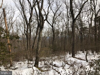 0 Etzler Rd unit MDFR2014238, Frederick, MD 21702 - photo 3