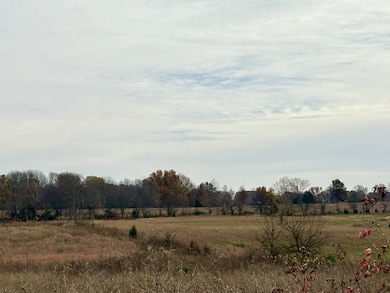 0 Thompson Ln unit RTC3045769, Portland, TN 37148 - photo 5