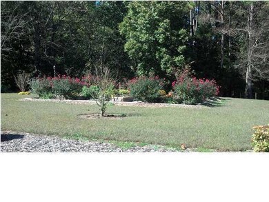 Lovely Yard