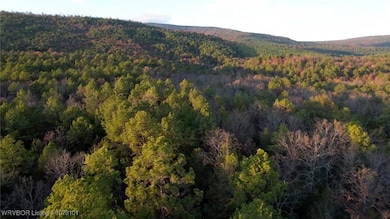 TBD Oklahoma 128, Heavener, OK 74937 - photo 7