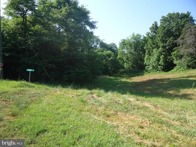 0 Fullerton Ln, South River, VA 22610 - photo 6