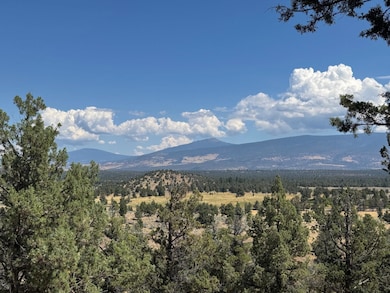 Unit 9-1 Lot 32 Palomino Rd unit 9-1, Lake Shastina, CA 96094 - photo 3