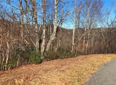 Lot# 122 Firethorn Trail, Blowing Rock, NC 28605 - photo 2