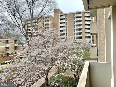 Tiber Island unit W103, Washington, DC 20024 - photo 5