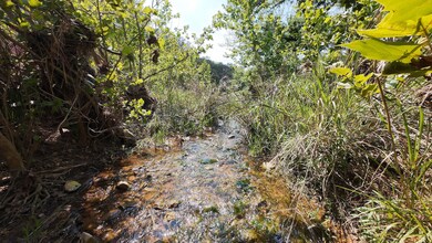 3841 W US Hwy 290, Fredericksburg, TX 78624 - photo 7