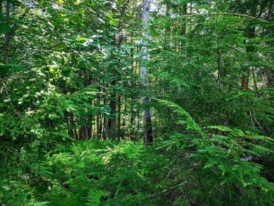 0 Brook View Rd, Newport, NH 03773 - photo 5