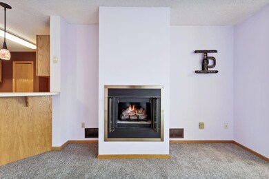 12802 Echo Ln unit 112, Saint Paul, MN 55124 - photo 3