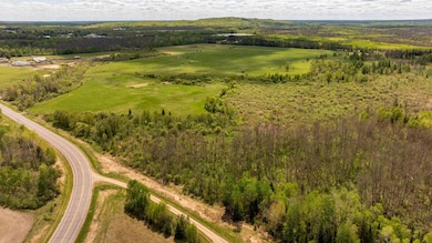 36037 678th St, Hill City, MN 55748 - photo 4