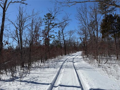 1 Rd, Fredericktown, MO 63645 - photo 4