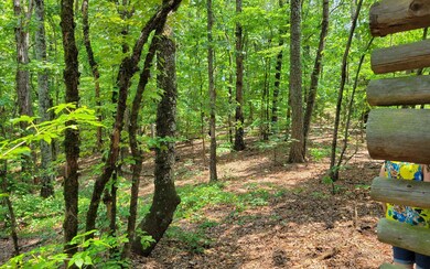 0 Hwy 411 unit 308551, Ranger, GA 30743 - photo 4