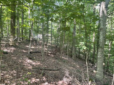 0 Laurel Crown Rd, Manchester, TN 37355 - photo 3