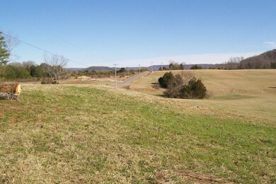 800 Goodbar Rd, Rock Island, TN 38581 - photo 4