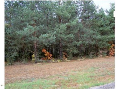 0 Sophia Way unit 14054708, Update, MI 49450 - photo 6