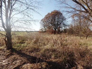 0 Bruce Rutherford Dr, Siloam Springs, AR 72761 - photo 2