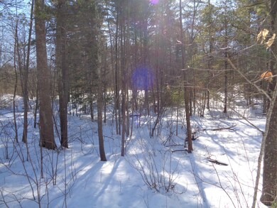 0 Mildram Rd, Wells, ME 04090 - photo 2