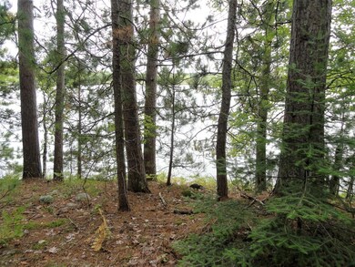Lot 4 Forrester Rd, Tomahawk, WI 54487 - photo 6