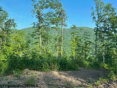 TBD Cheat Valley Hwy, Parsons, WV 26287 - photo 5
