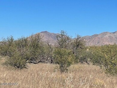 Lot 67 E Horse Ranch Unit 1 Rd unit 67, St. David, AZ 85630 - photo 5