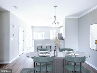 25337 Crossfield Dr, Chantilly, VA 20152 - photo 4