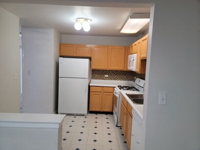 1872 Grove Ave unit 21C187, Schaumburg, IL 60193 - photo 4