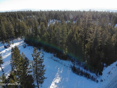 201 Northern Sky, Athol, ID 83801 - photo 3