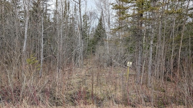 PXL_20250502_190003800