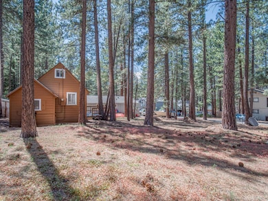 3790 Stewart Way, South Lake Tahoe, CA 96150 - photo 4