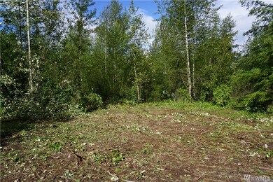 2020 394th St S, Roy, WA 98580 - photo 3