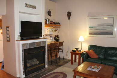 32 Fox Run Rd unit 3, Lincoln, NH 03251 - photo 6