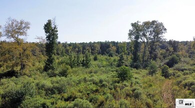 0 Milton White Rd unit 203323, Bastrop, LA 71220 - photo 5