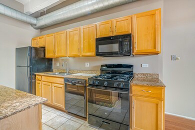 Rennaissance Place unit 318, Chicago, IL 60615 - photo 5