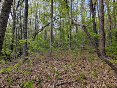 00 Ladd Springs Rd, Old Fort, TN 37362 - photo 5