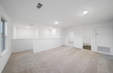 17206 Boulder Beach Dr, Crosby, TX 77532 - photo 6