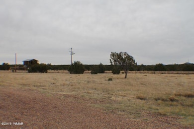 1397 Bourdon Ranch Rd, Show Low, AZ 85901 - photo 3