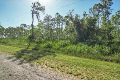 0 Calliandra Dr unit R11146493, Indian Lake Estates, FL 33855 - photo 4