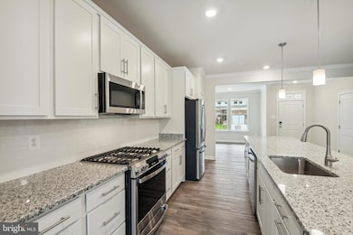 12126 American Chestnut Rd, Bowie, MD 20720 - photo 4