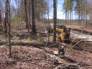 0 Bear Creek Rd unit 414593, Talking Rock, GA 30175 - photo 2