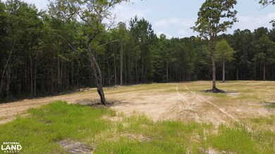 0 Steed Creek Rd unit 25684025, Huger, SC 29450 - photo 3