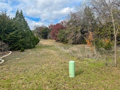 311 Clear Lake Ln, Weatherford, TX 76087 - photo 4