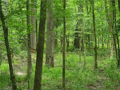 0 Bachelor Creek Rd, Asheboro, NC 27205 - photo 4