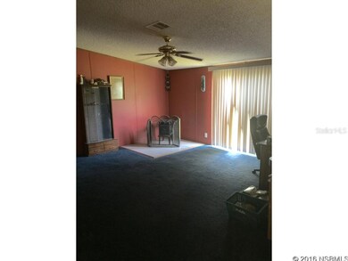 4692 Cedar Rd, New Smyrna Beach, FL 32168 - photo 4