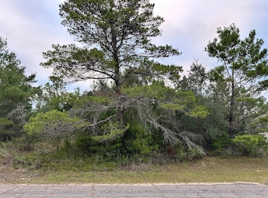 0 Colmart Dr, Chipley, FL 32428 - photo 3