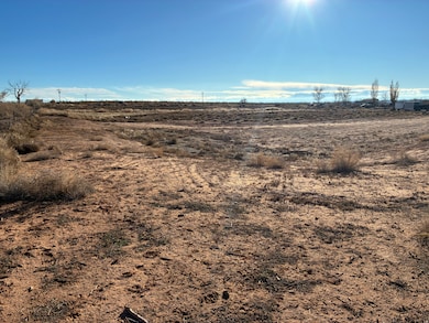 9813 4000 N, Lapoint, UT 84039 - photo 3