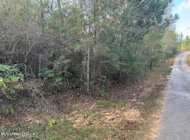 0 J Bailey Rd, Wiggins, MS 39577 - photo 6