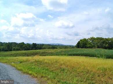 3706 Petersville Rd, Knoxville, MD 21758 - photo 6