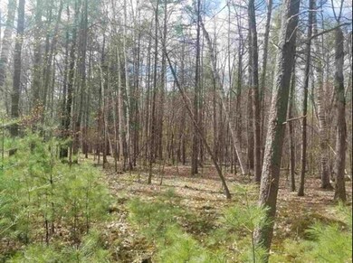 21B Lovejoy Sands Rd, Meredith, NH 03253 - photo 4