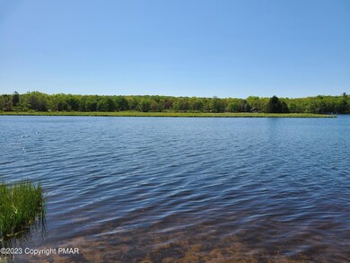 0 Summit Dr, Tunkhannock Township, PA 18210 - photo 4