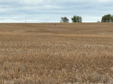 View of nature with a rural view